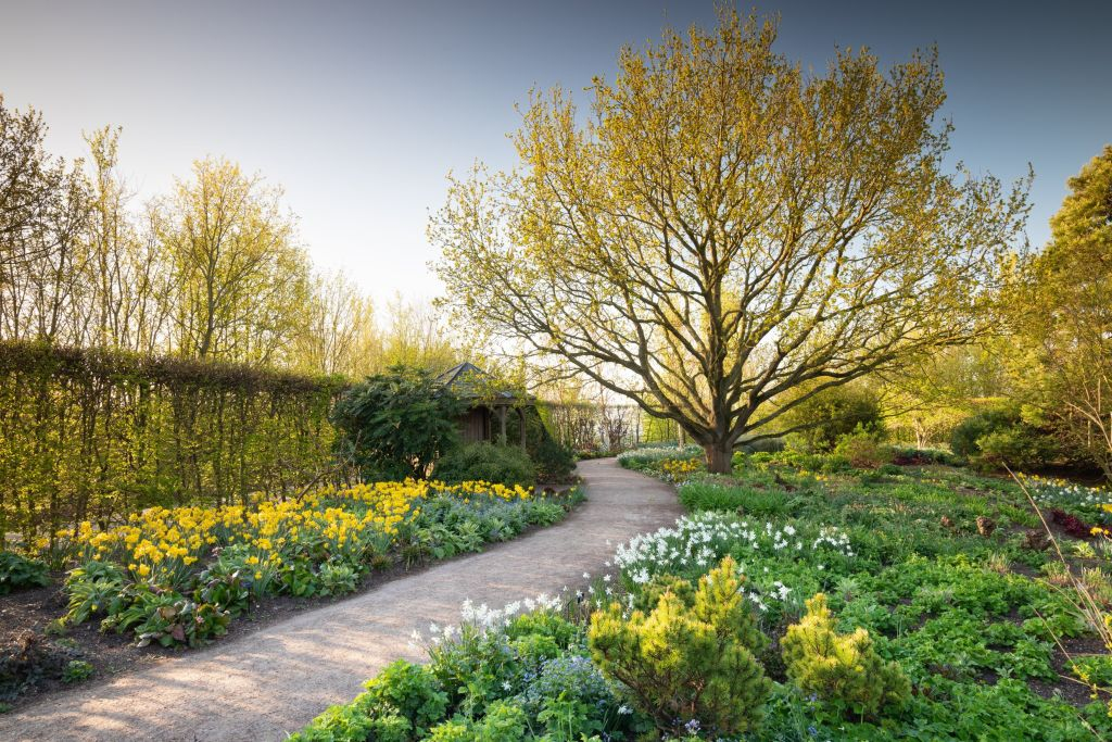 RHS Garden Hyde Hall: Entry Ticket