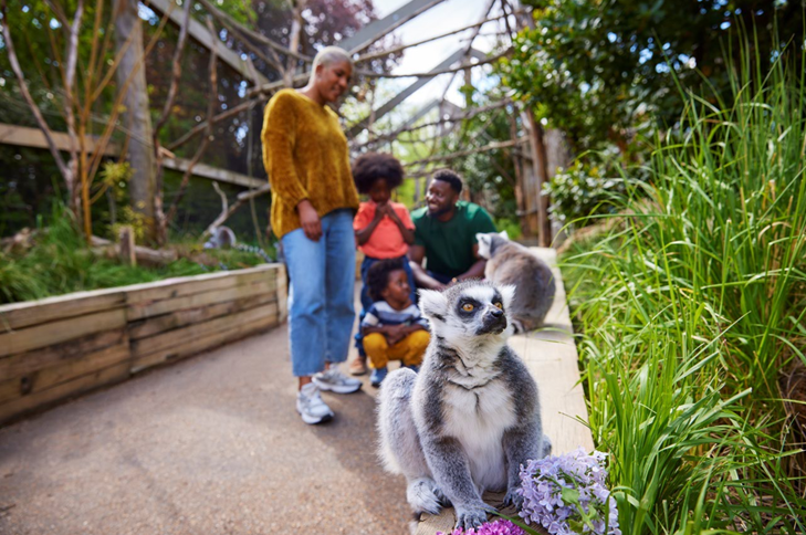 Londres : Family Pass