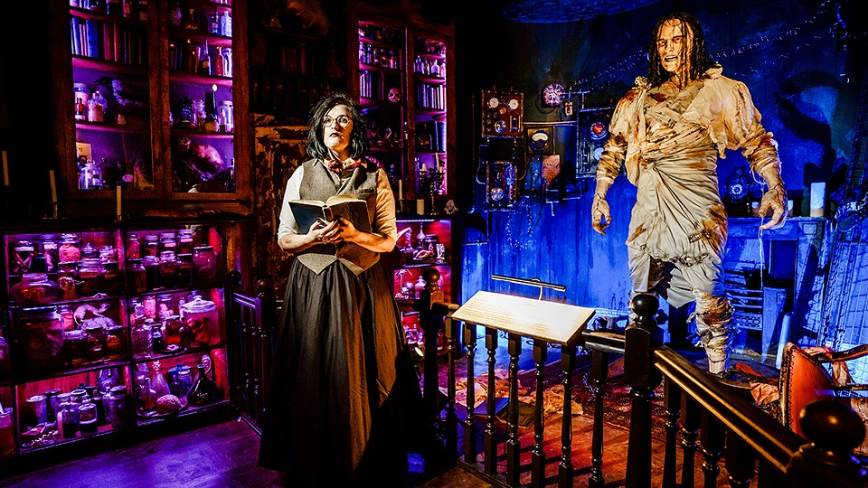 Mary Shelley's House of Frankenstein: Entry Ticket