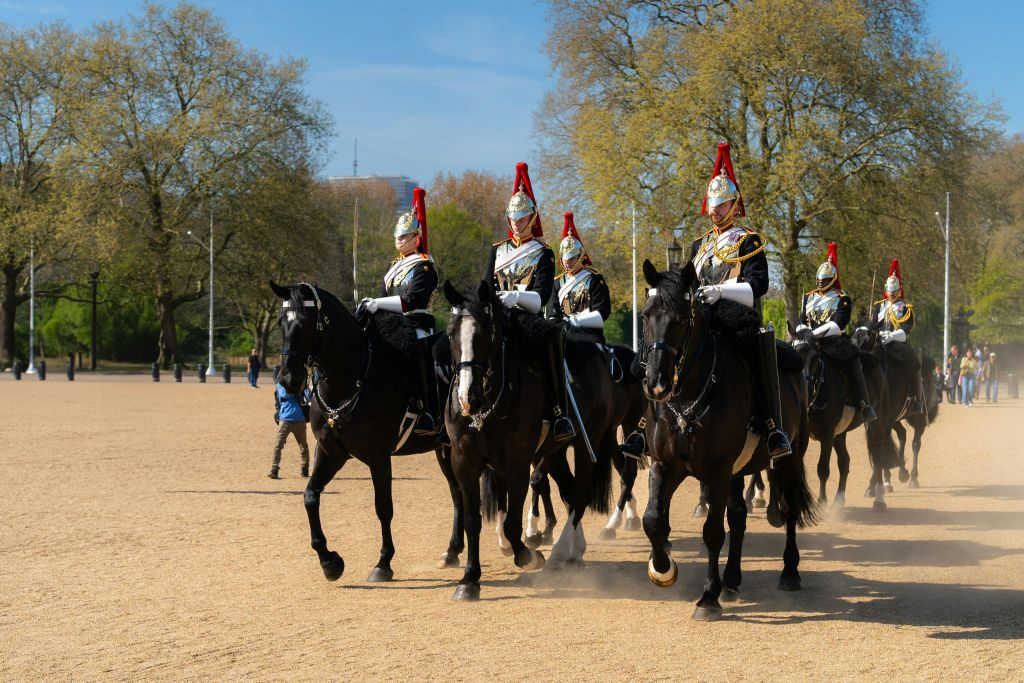 The Household Cavalry Museum: Entry Ticket
