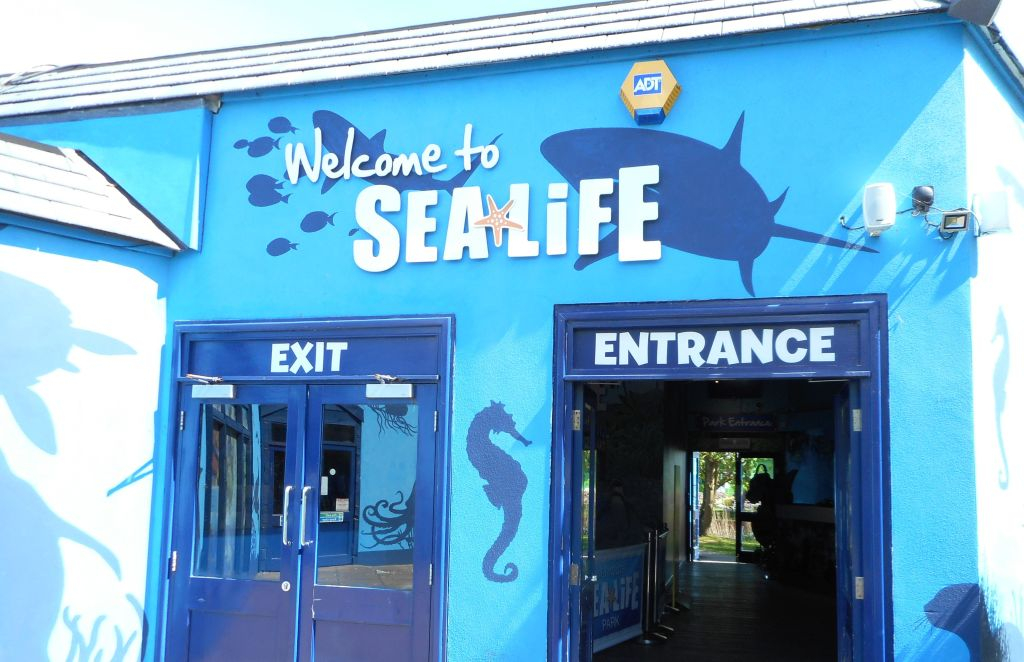 SEA LIFE Weymouth: Entry Ticket