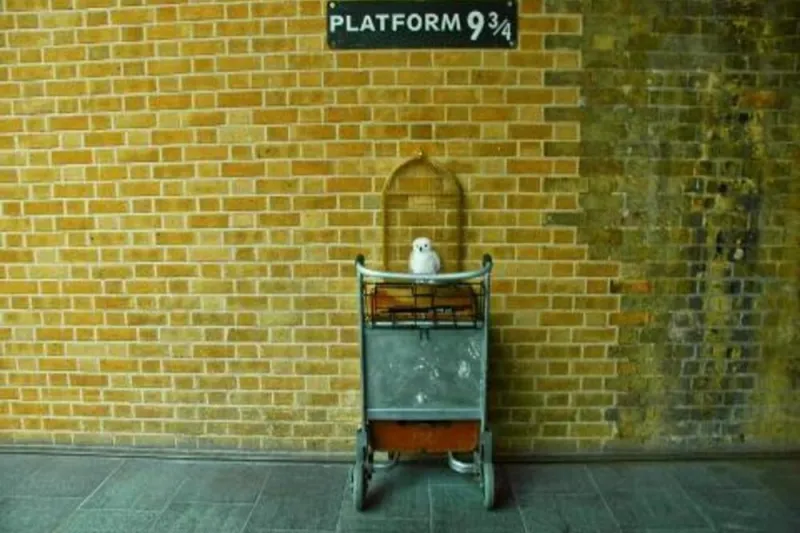 Londra: Tour a piedi di Harry Potter, Cattedrale di St Paul e biglietti per la crociera sul fiume