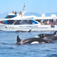 Traslados al Parque Nacional de las Islas Atlánticas de Galicia desde Portonovo