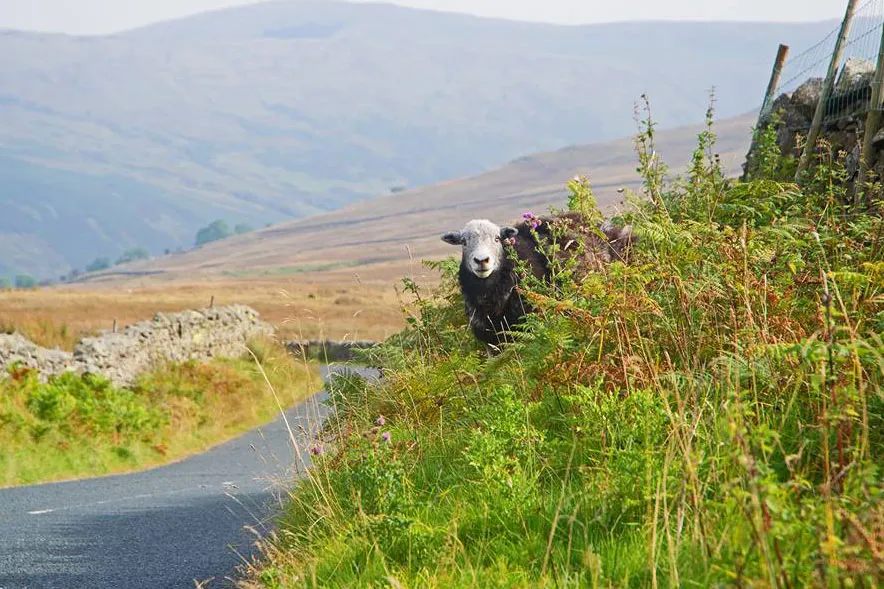 The High Adventure from Windermere