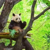 Zoo Aquarium Madrid
