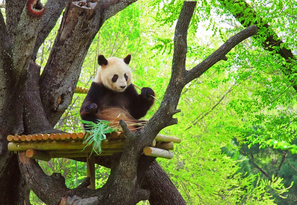 Zoo Aquarium Madrid