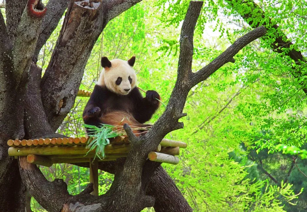 Zoo Aquarium Madrid