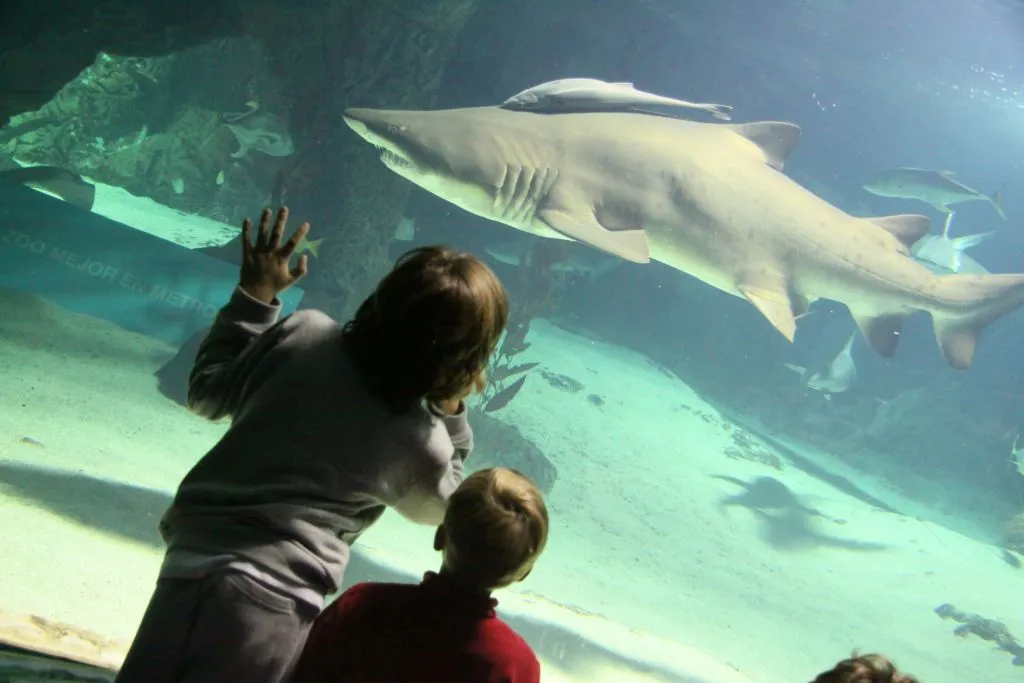 Zoo Aquarium Madrid