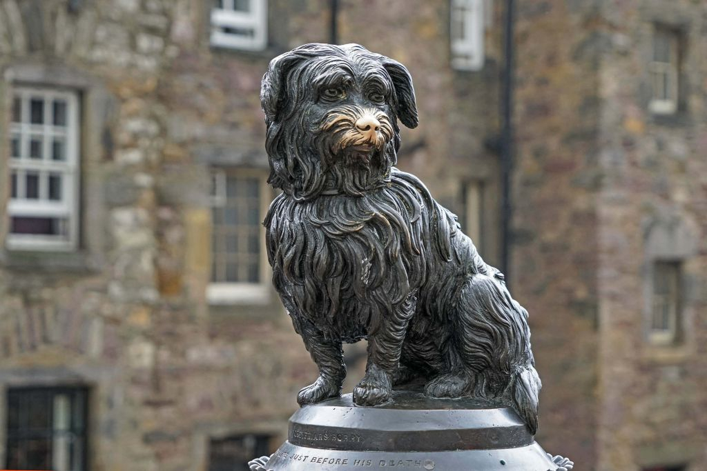 Edinburgh's Royal Mile: Independent Walking Tour with Audio Guide