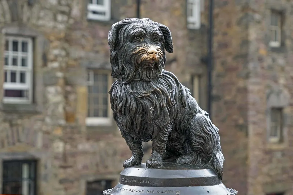 Edinburgh's Royal Mile: Independent Walking Tour with Audio Guide