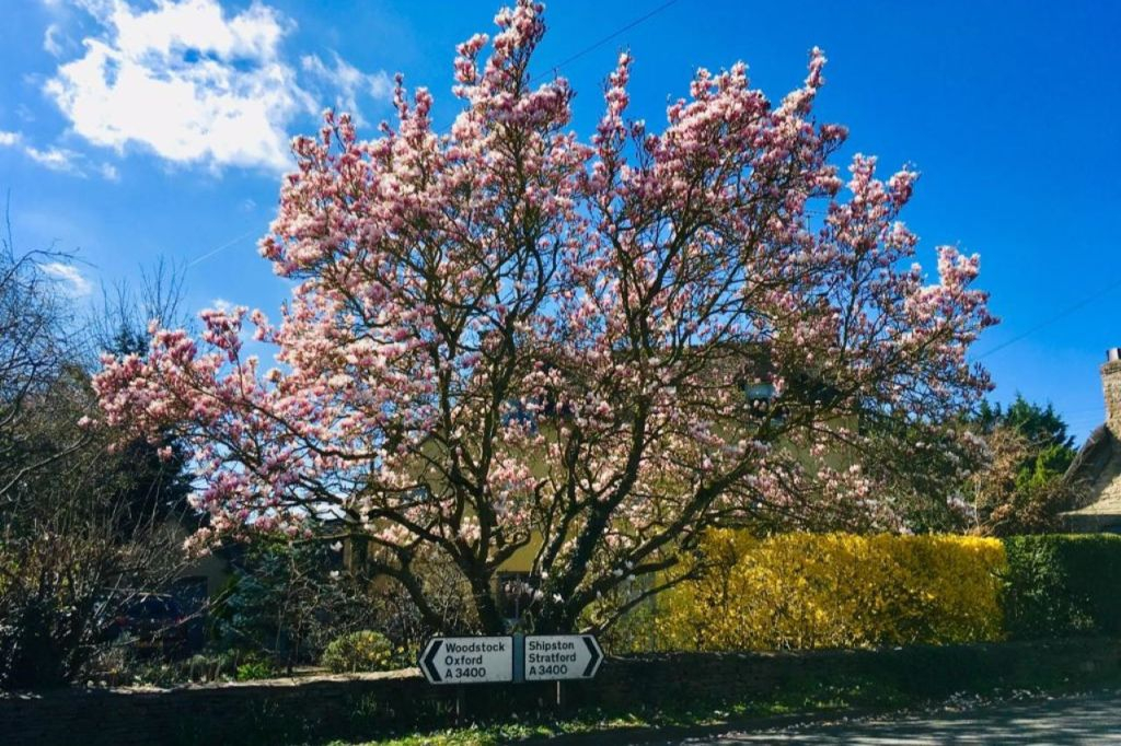 Cotswolds & Broadway Tower: Small Group Tour from London