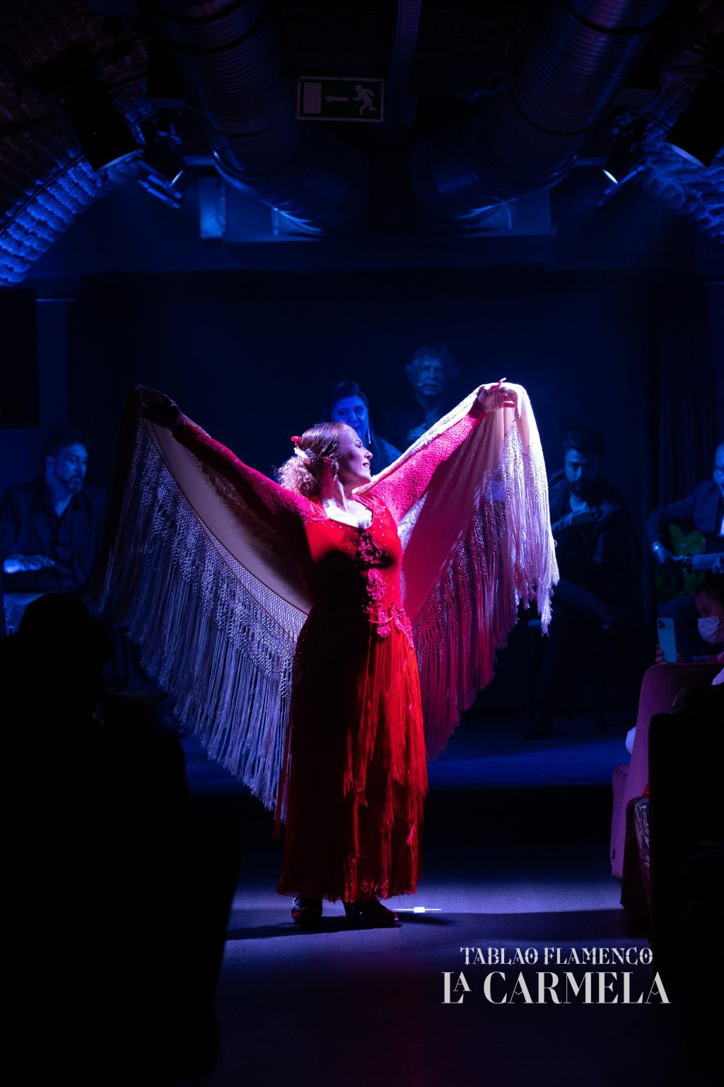 Tablao Flamenco La Carmela 