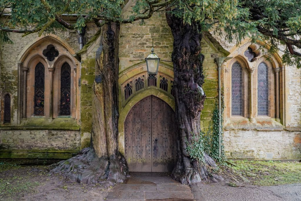 Le Cotswolds: Degustazione di vini Rothschild e tour per piccoli gruppi