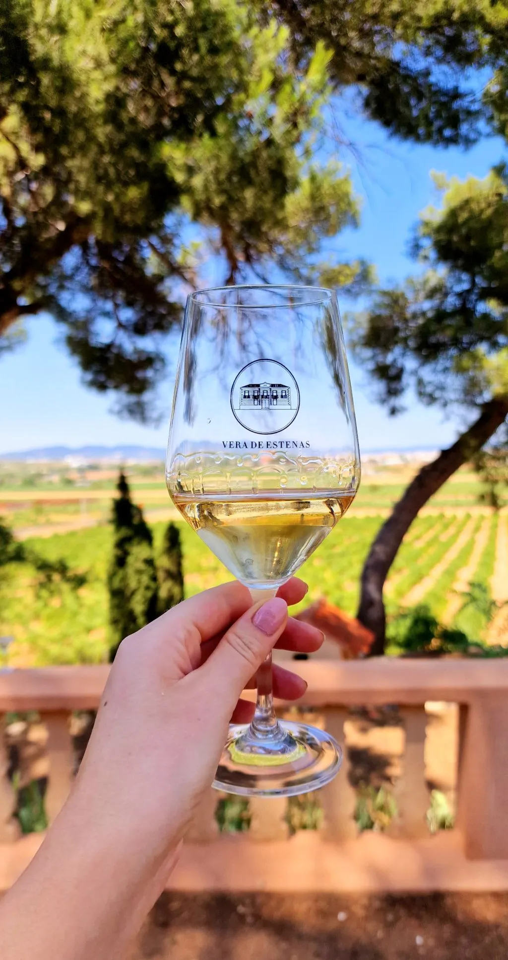 Utiel-Requena Wine Route from Valencia