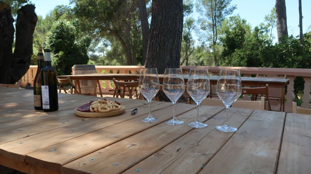 Utiel-Requena Wine Route from Valencia