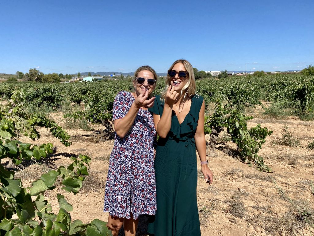 Rota do Vinho Utiel-Requena a partir de Valência