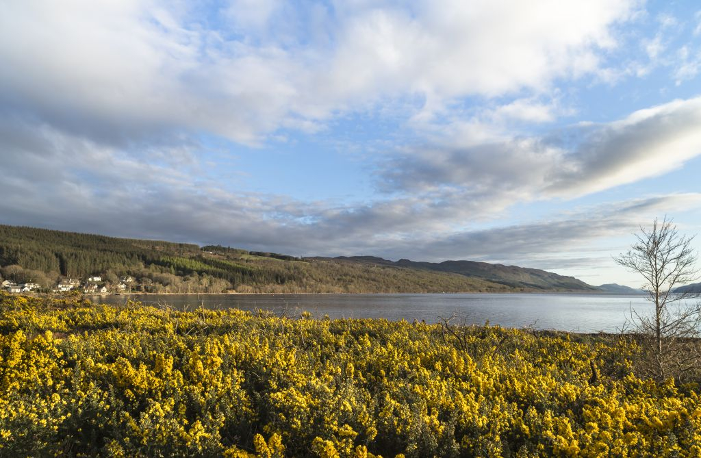 The Complete Loch Ness Experience: Day Tour from Inverness
