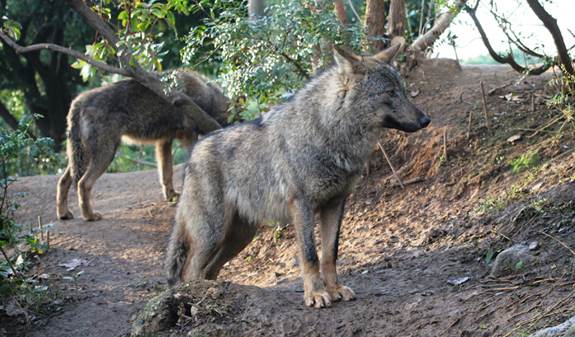 Zoo de Barcelona