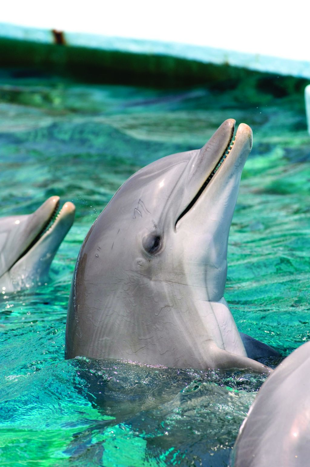 Zoo de Barcelona