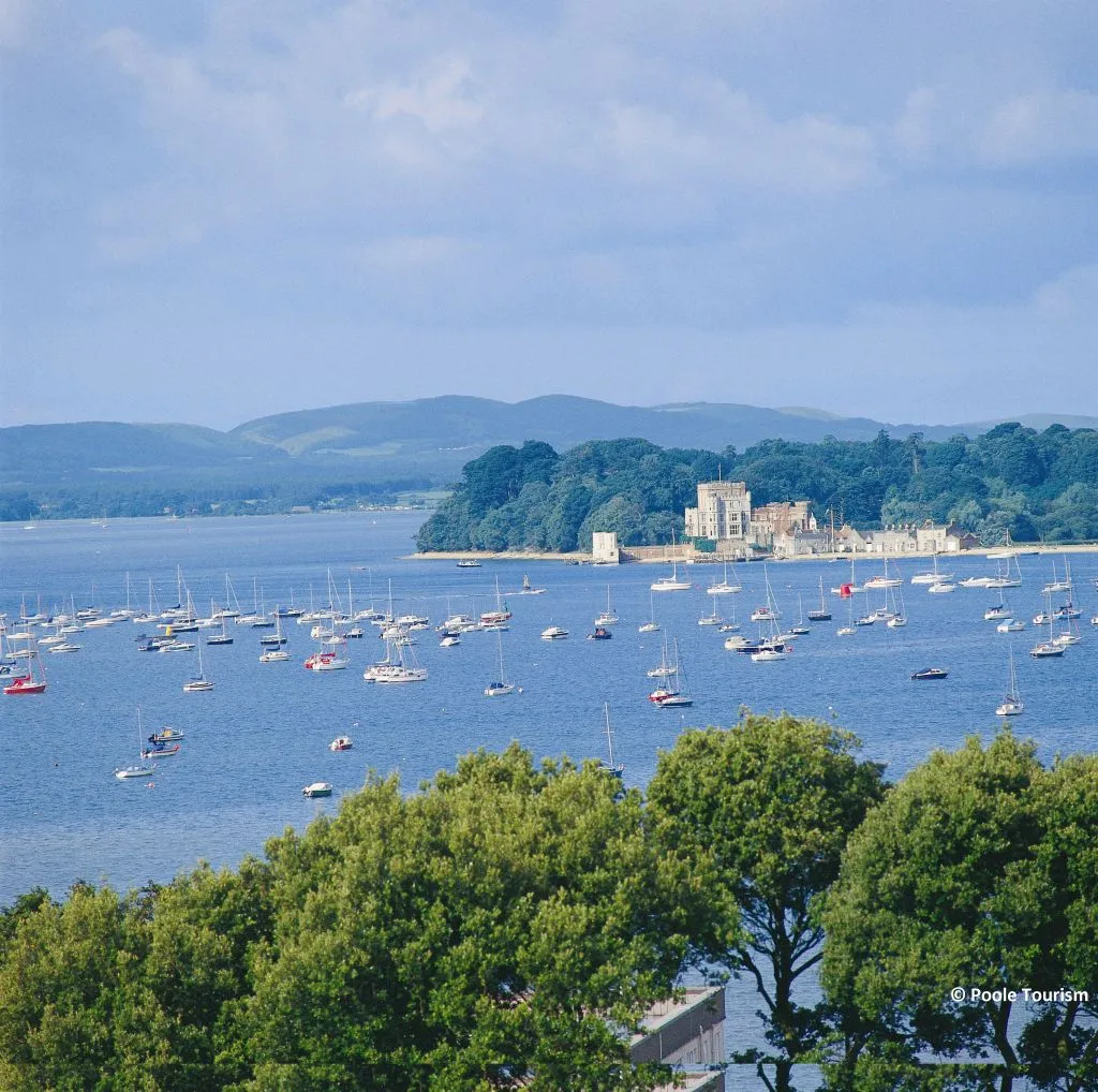 Poole to Swanage Return Cruise
