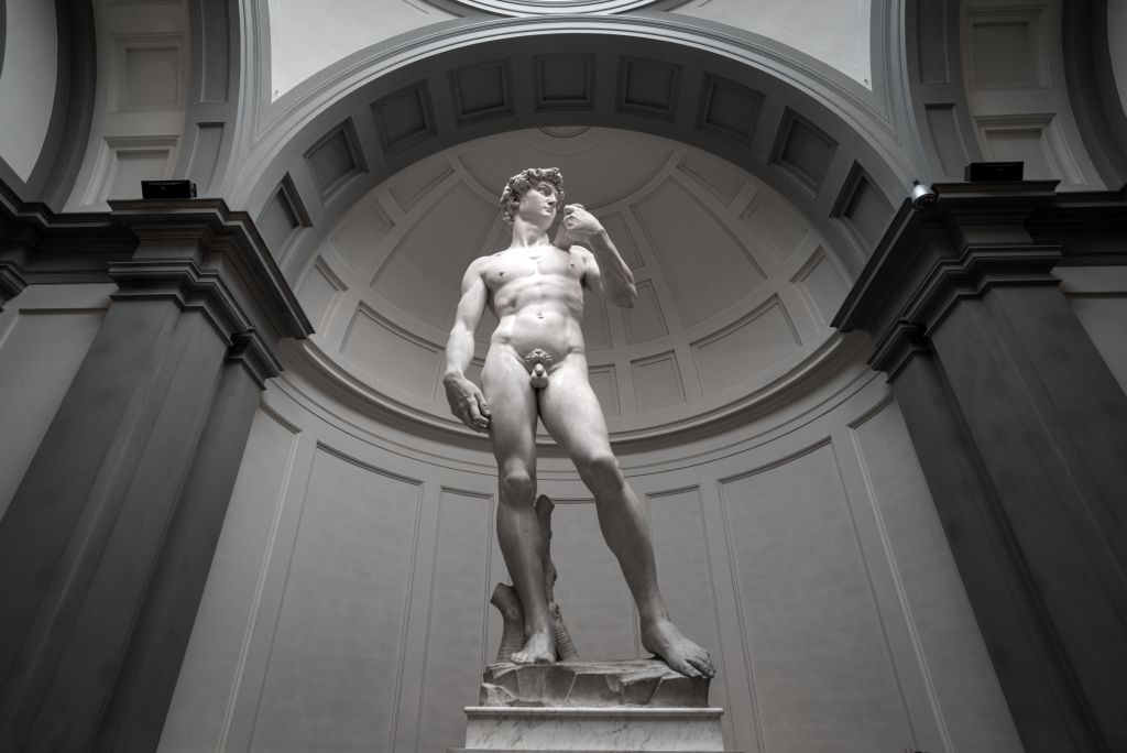 Galleria dell'Accademia: Biglietto d'ingresso prioritario