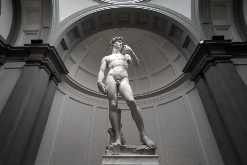Galleria dell'Accademia: Biglietto d'ingresso prioritario