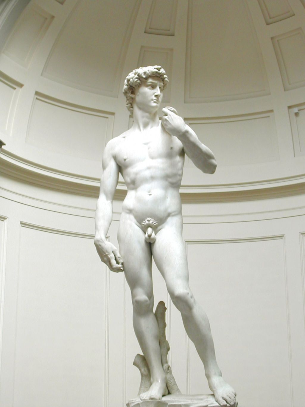 Accademia Gallery: Priority Entrance Ticket