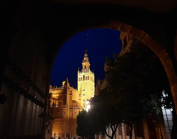 Guided Tours Sevilla: Barrio and Museum of the Macarena