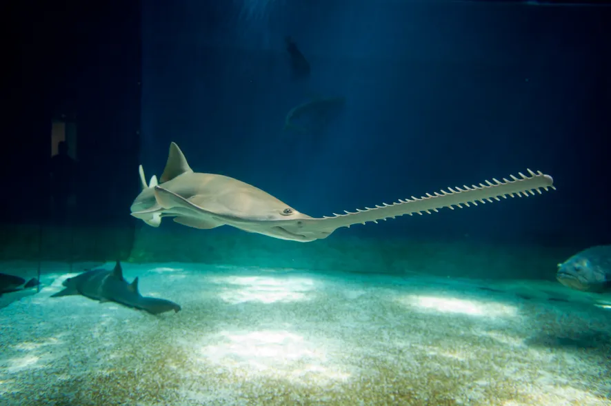 Acquario di Genova: Ingresso Riservato