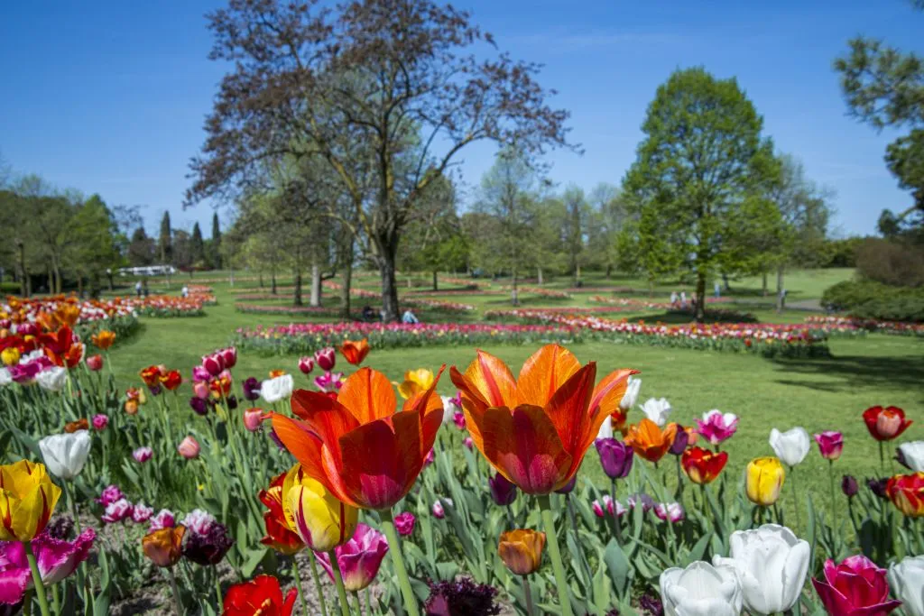 Parco Giardino Sigurtà: Biglietto saltafila