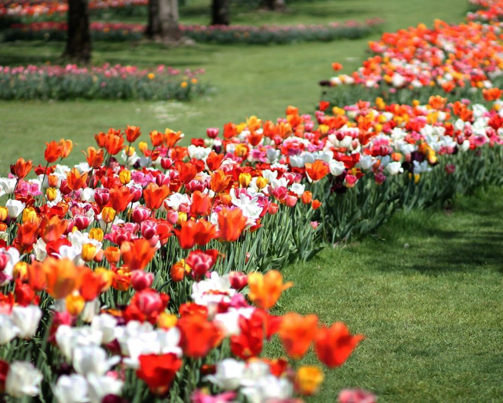 Parco Giardino Sigurtà: Biglietto saltafila