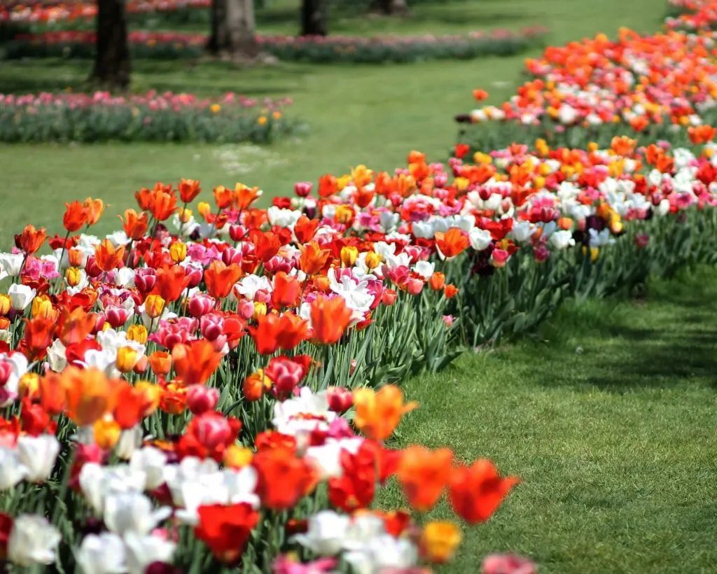 Parco Giardino Sigurtà: Biglietto saltafila