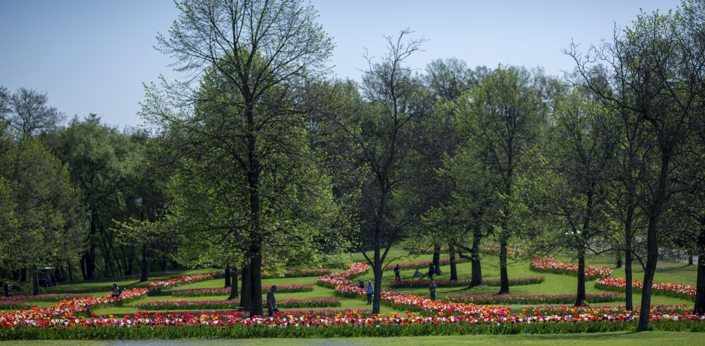 Parco Giardino Sigurtà: Biglietto saltafila