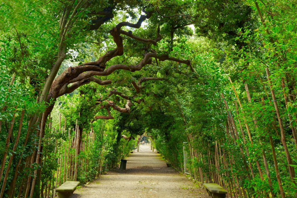 Palazzo Pitti, Boboli & Bardini Gardens: Skip The Line