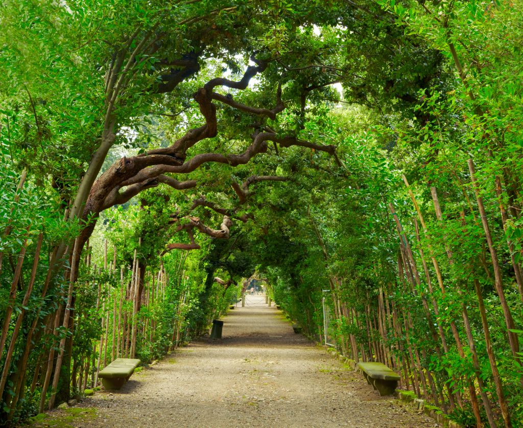 Boboli Gardens: Skip The Line Ticket