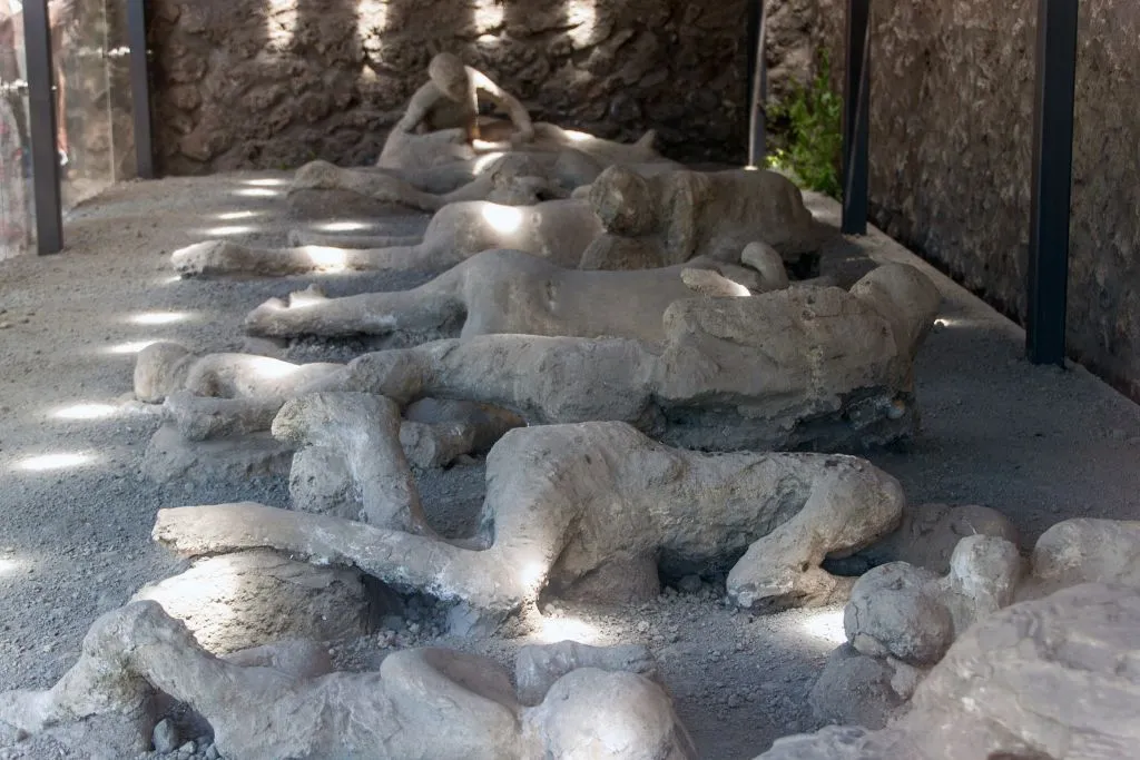 Pompeii Plus: Reserved Entrance
