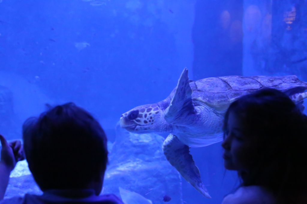 Acuario de Sevilla