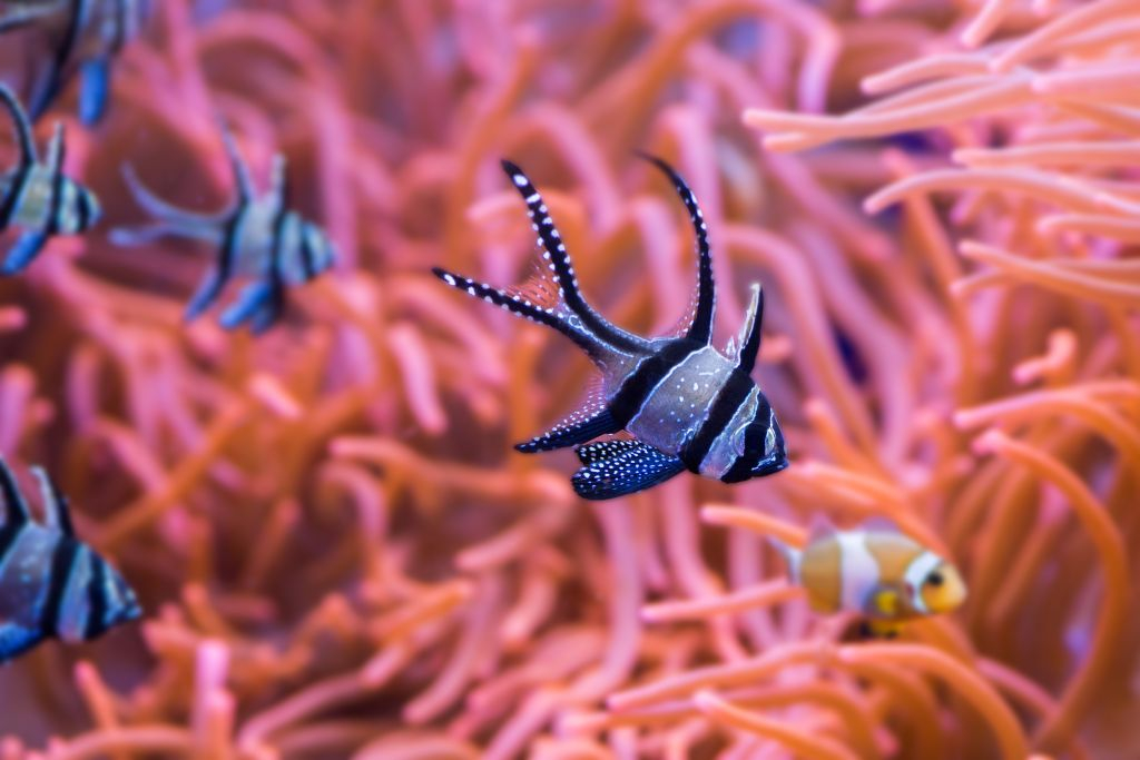 Acuario de Sevilla