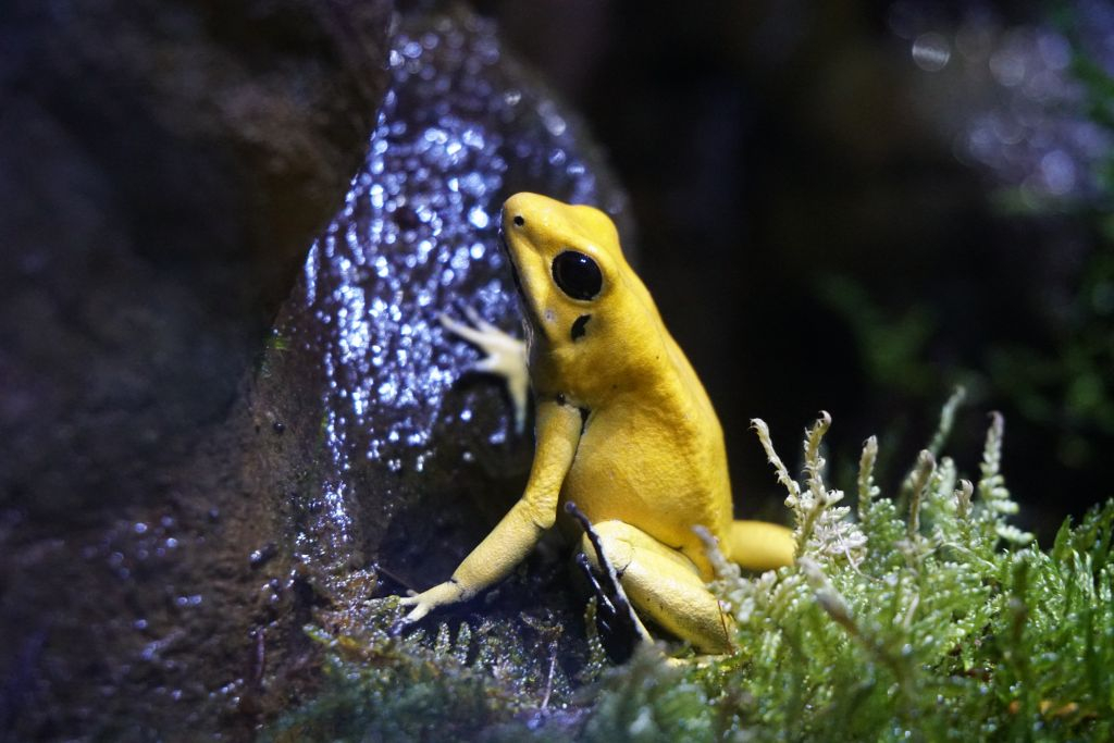 Acuario de Sevilla
