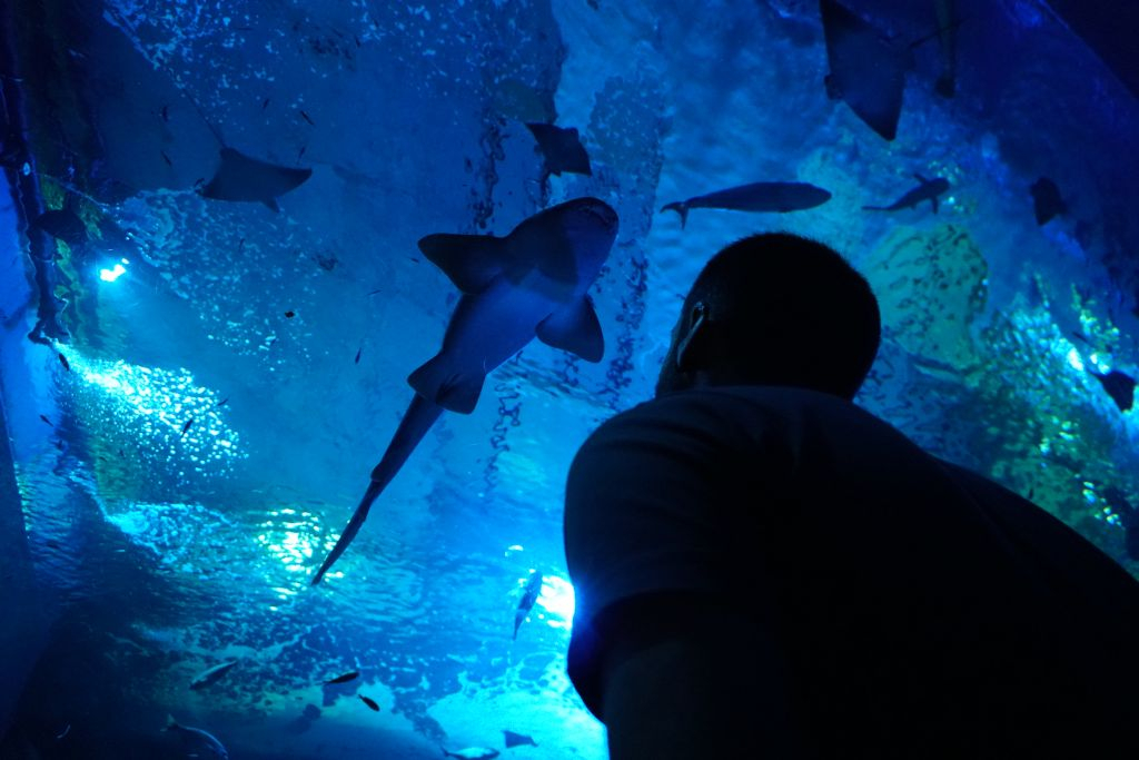Acuario de Sevilla