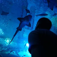 Acuario de Sevilla