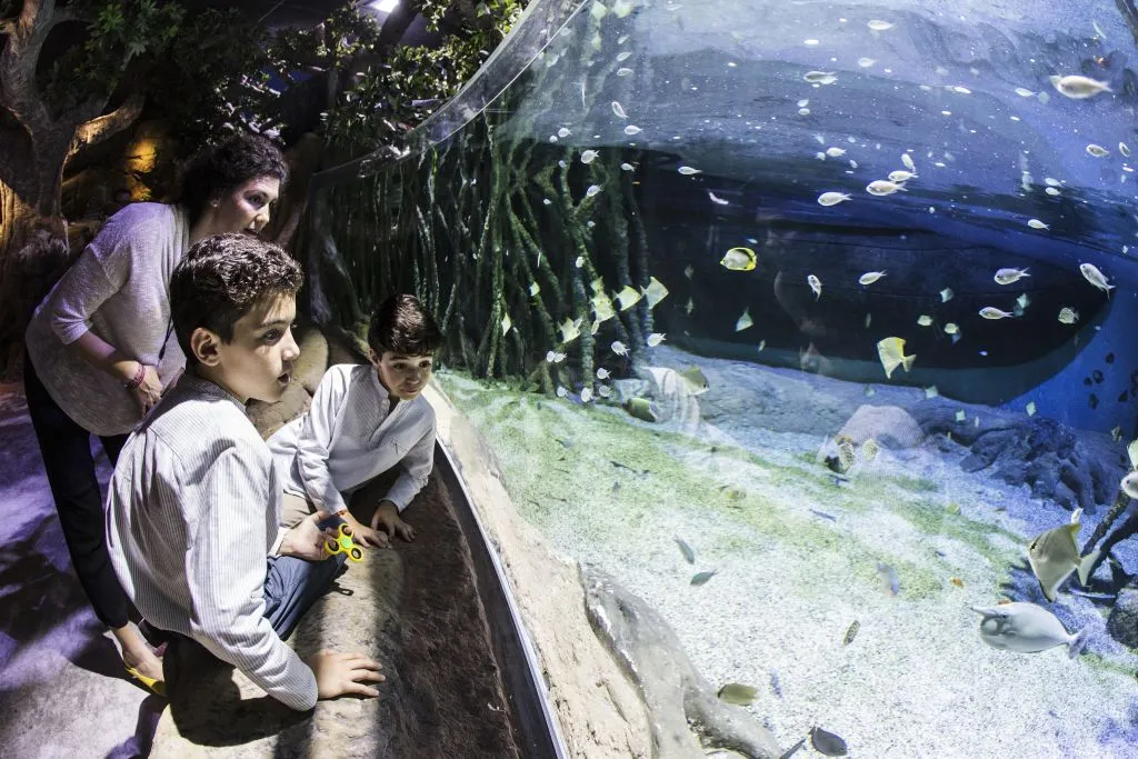 Acuario de Sevilla