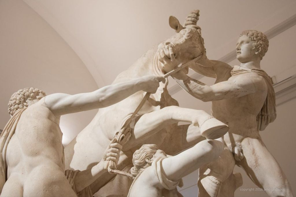 Musée Archéologique National de Naples : Entrée + Cartes postales Pemcards
