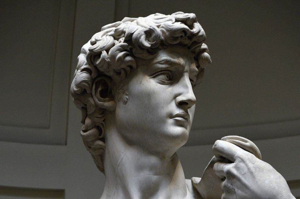 Galleria dell'Accademia: Tour guidato