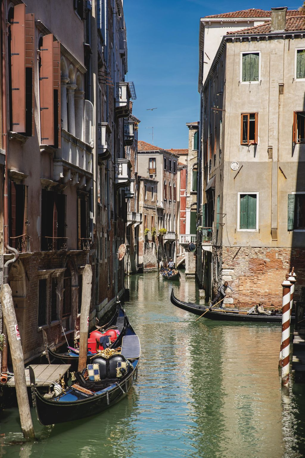 Venice: Hop-On Hop-Off Boat + Murano, Burano & Torcello