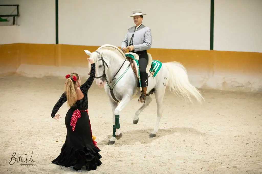 El Ranchito: Espectáculo Ecuestre