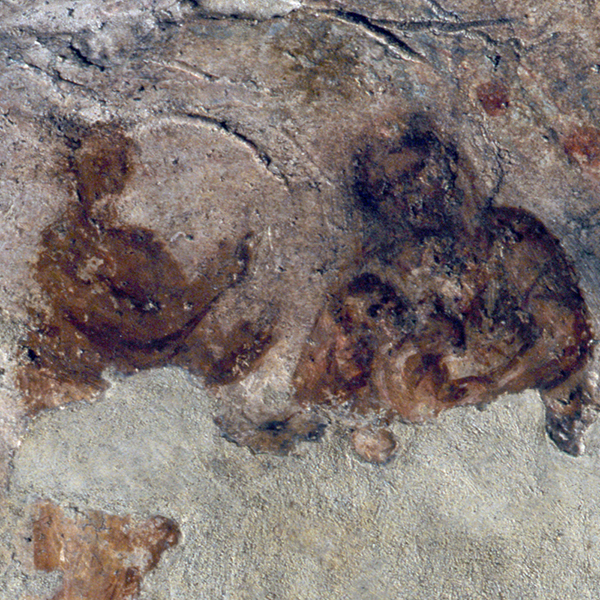 Priscilla Catacomb: Guided Tour