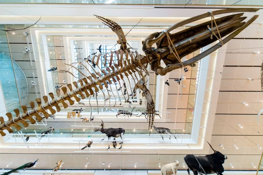 MUSE - Museo delle Scienze: Biglietto d'ingresso