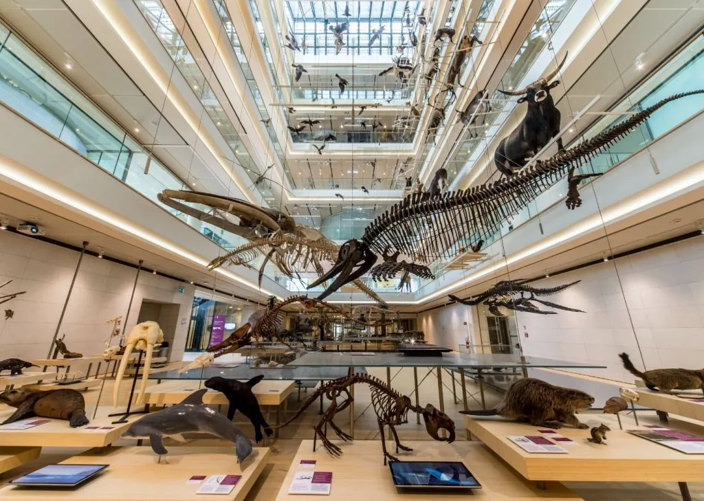 MUSE - Museo delle Scienze: Biglietto d'ingresso