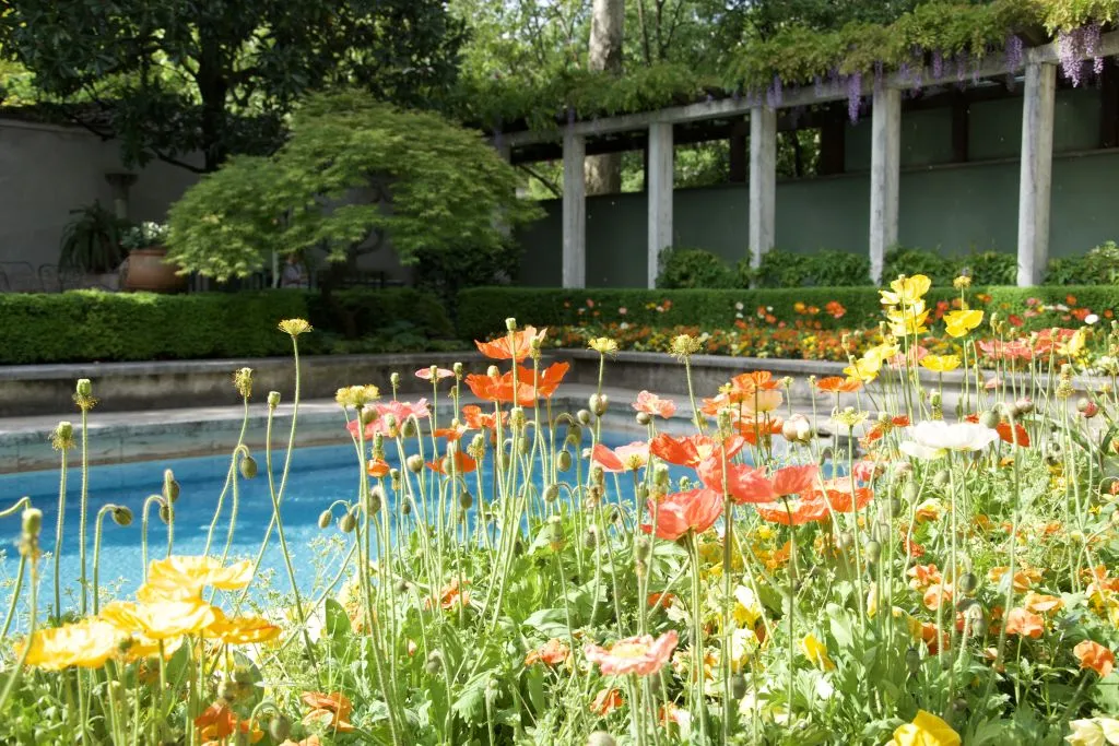 Villa Necchi Campiglio: Biglietto d'ingresso